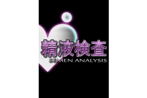 보지넷 야동 사이트