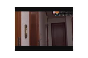 보지넷 야동 사이트