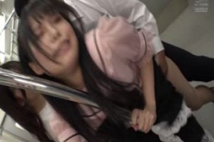 보지넷 야동 사이트