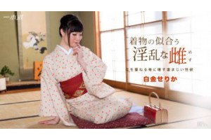 보지넷 야동 사이트