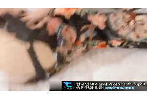 보지넷 야동 사이트