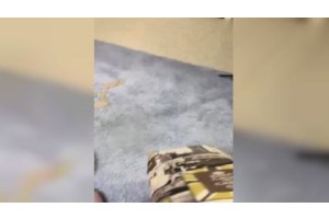보지넷 야동 사이트