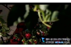보지넷 야동 사이트