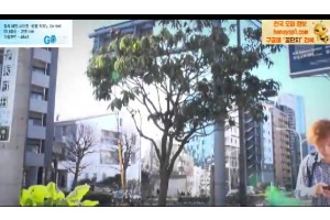 보지넷 야동 사이트
