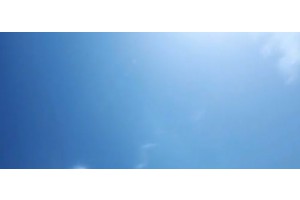 보지넷 야동 사이트