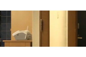 보지넷 야동 사이트