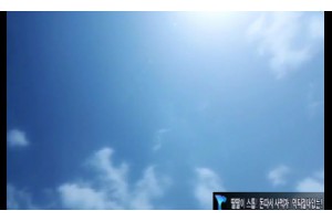 보지넷 야동 사이트