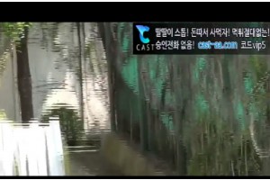 보지넷 야동 사이트