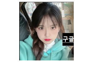 보지넷 야동 사이트