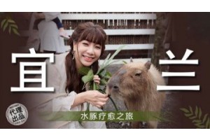 보지넷 야동 사이트