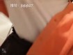보지넷 보지넷