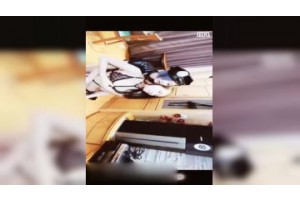 보지넷 야동 사이트
