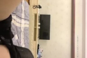 보지넷 야동 사이트