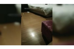 보지넷 야동 사이트
