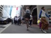 보지넷