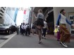 보지넷