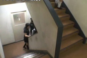 보지넷 야동 사이트