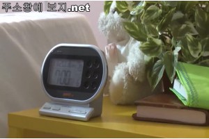 보지넷 야동 사이트
