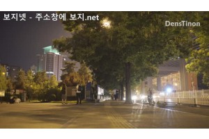 보지넷 야동 사이트