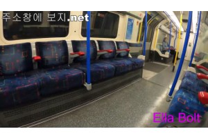 보지넷 야동 사이트