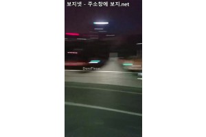 보지넷 야동 사이트
