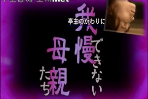 보지넷 야동 사이트