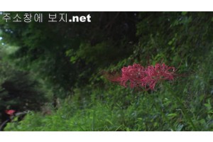 보지넷 야동 사이트
