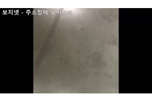 보지넷 야동 사이트