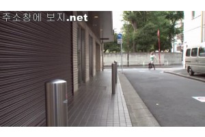 보지넷 야동 사이트