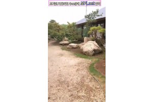 보지넷 야동 사이트