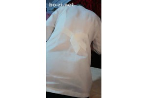 보지넷 야동 사이트
