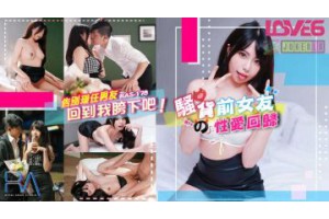 보지넷 야동 사이트
