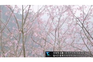 보지넷 야동 사이트