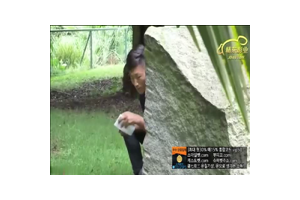 보지넷 야동 사이트