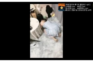 보지넷 야동 사이트