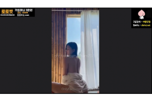 보지넷 야동 사이트