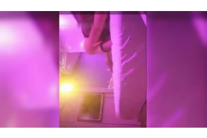 보지넷 야동 사이트