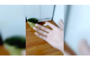 보지넷 야동 사이트