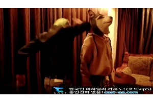 보지넷 야동 사이트