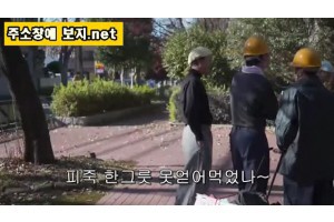 보지넷 야동 사이트