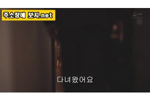 보지넷 야동 사이트