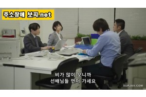 보지넷 야동 사이트