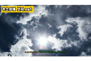보지넷 야동 사이트
