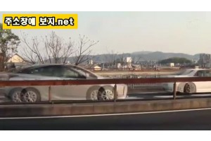 보지넷 야동 사이트