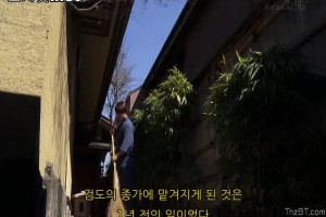 보지넷 야동 사이트
