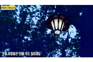 보지넷 야동 사이트