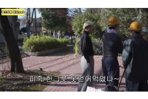 보지넷 야동 사이트