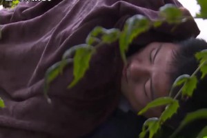 보지넷 야동 사이트