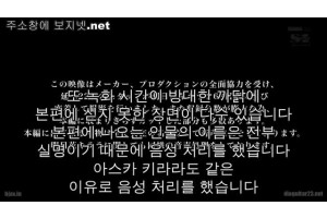 보지넷 야동 사이트