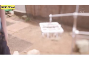 보지넷 야동 사이트